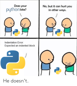 35 Best Funny Python Programming Memes | CodeItBro