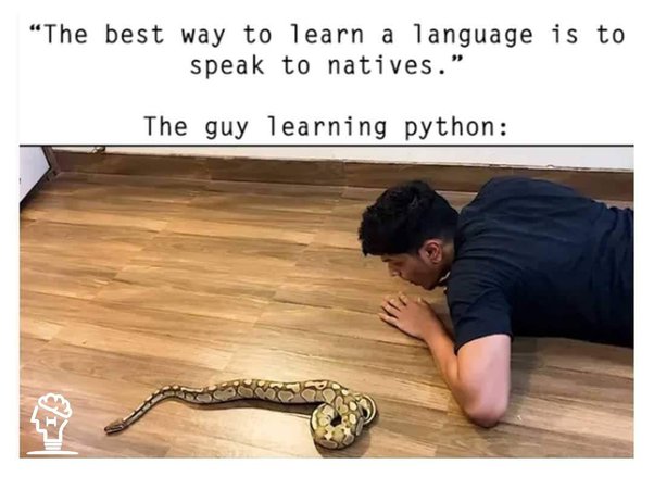 guy learning python funny meme