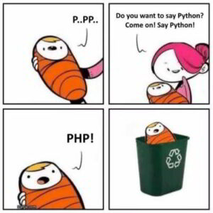 35 Best Funny Python Programming Memes | CodeItBro