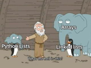 35 Best Funny Python Programming Memes | CodeItBro
