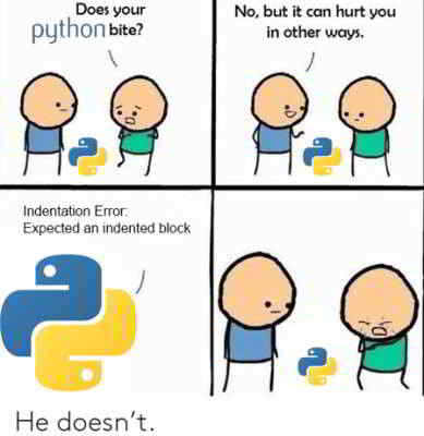 python meme 12 - does your python bite