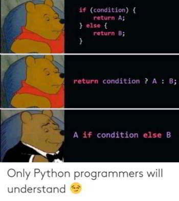 python meme 14 - only programmers will understand