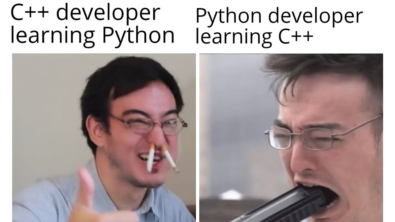 python programmer funny meme