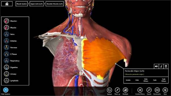 essential anatomy 3