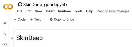 make a copy of skindeep google colab project