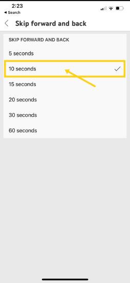 skip forward and back youtube options