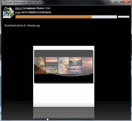 picasa album downloader