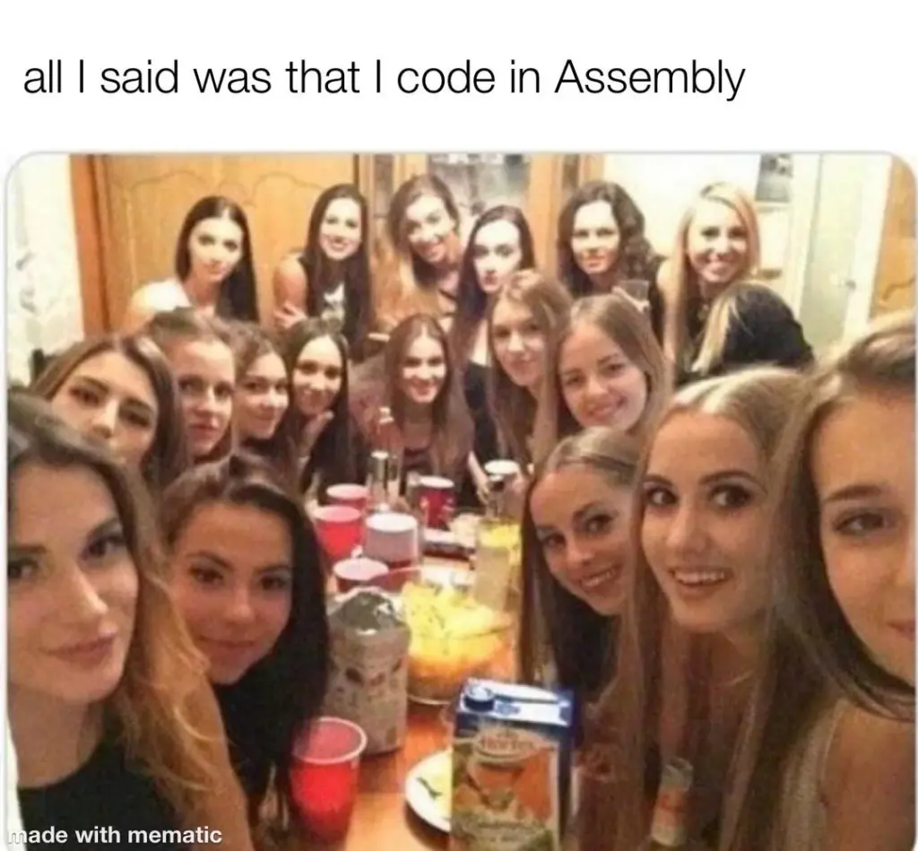 Funny meme showing party crowd reacting to assembly coder