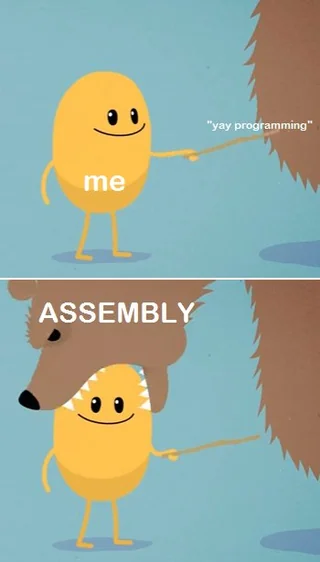 Funny meme of assembly scaring a beginner programmer