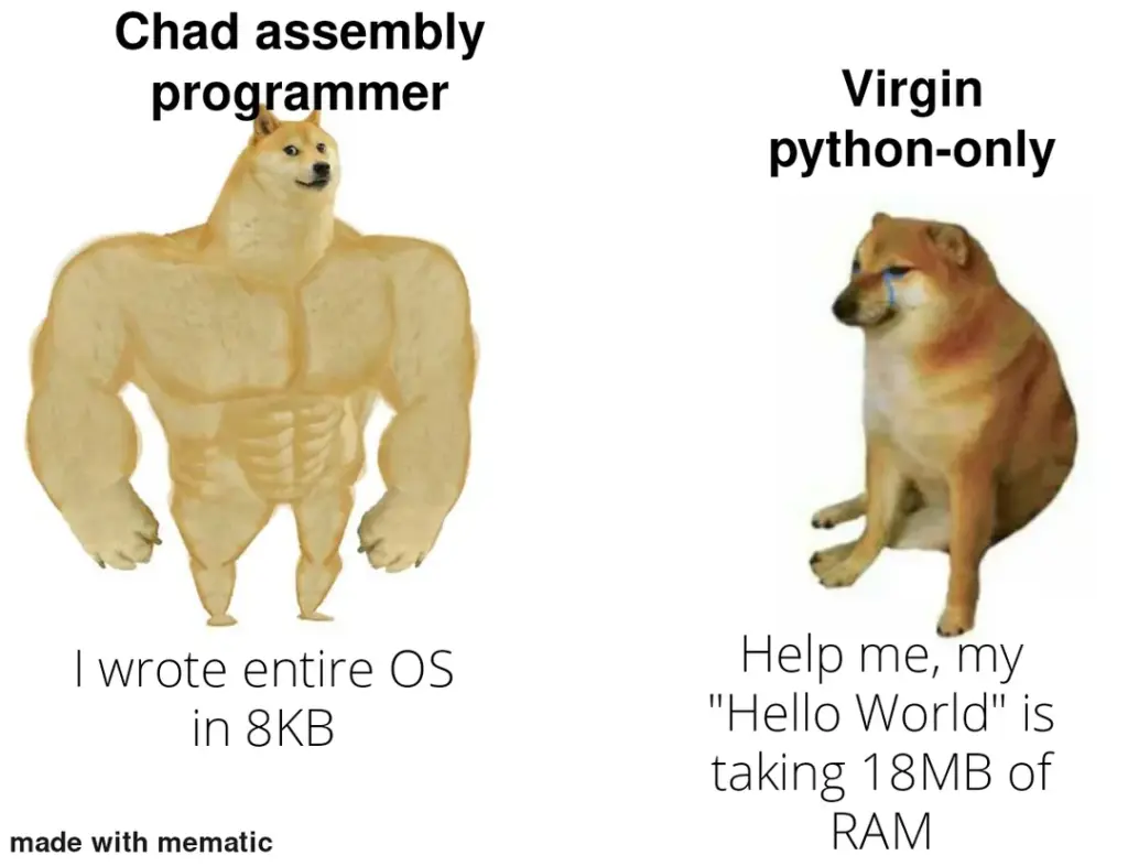 Doge meme comparing assembly programmer vs Python programmer